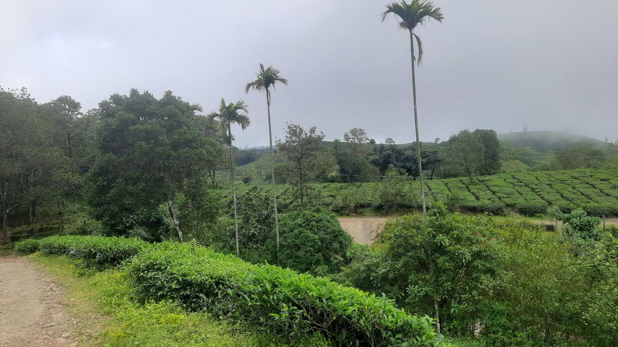 Paradise Meadows Vagamon Dış mekan fotoğraf