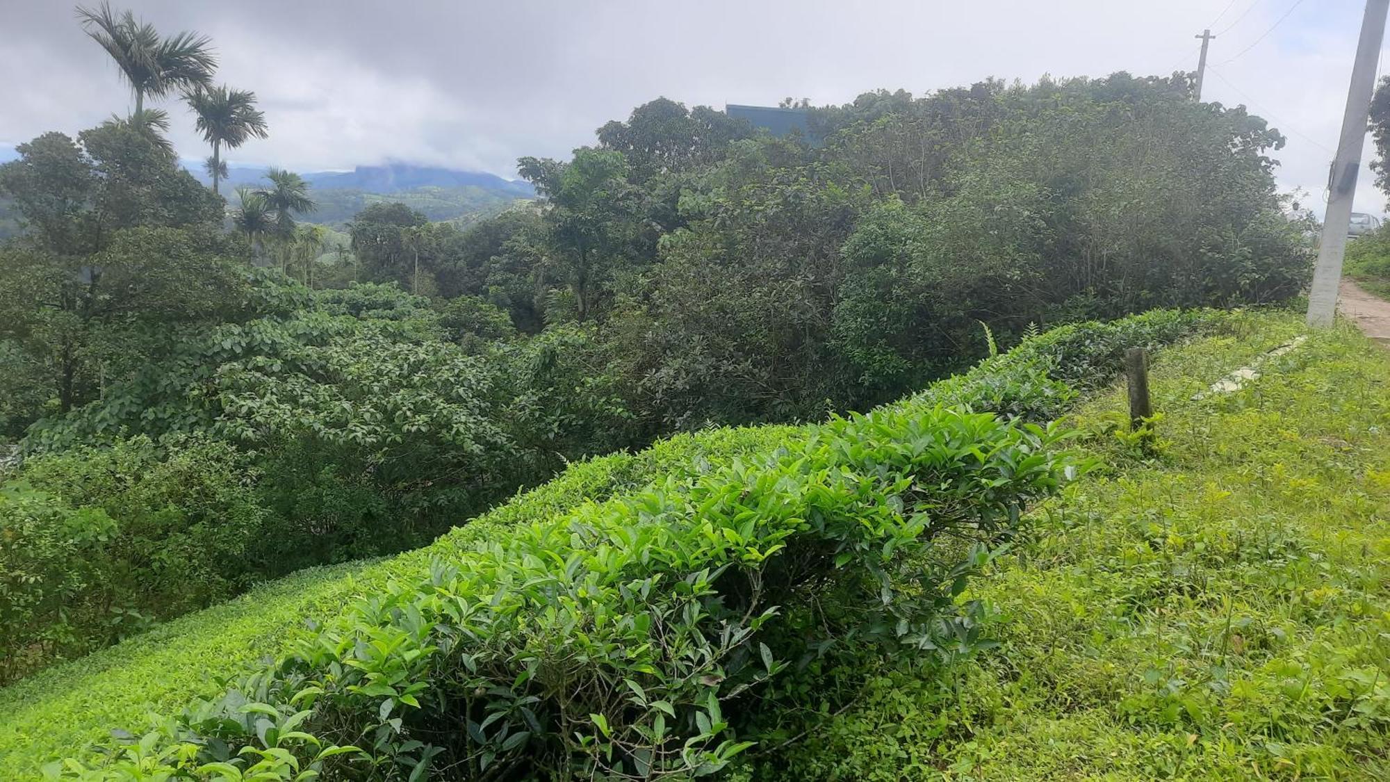 Paradise Meadows Vagamon Dış mekan fotoğraf